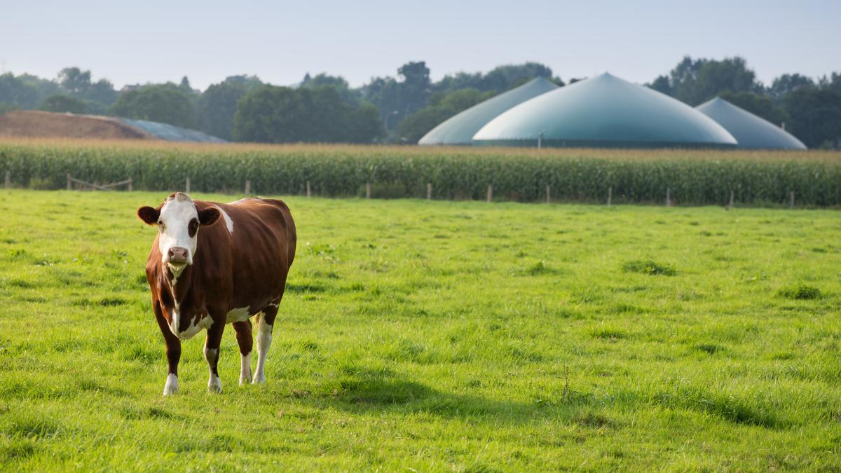 biogaz méthaniseur